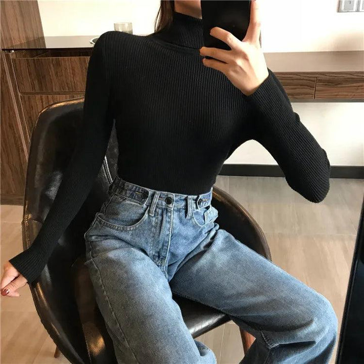 Veronica Turtle Neck Sweater