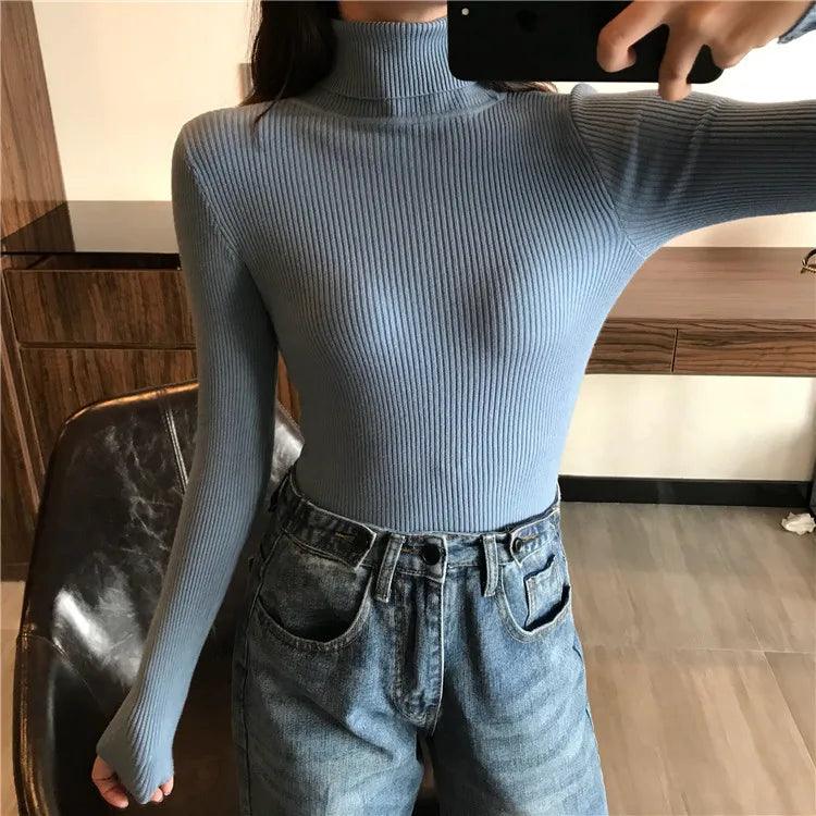 Veronica Turtle Neck Sweater